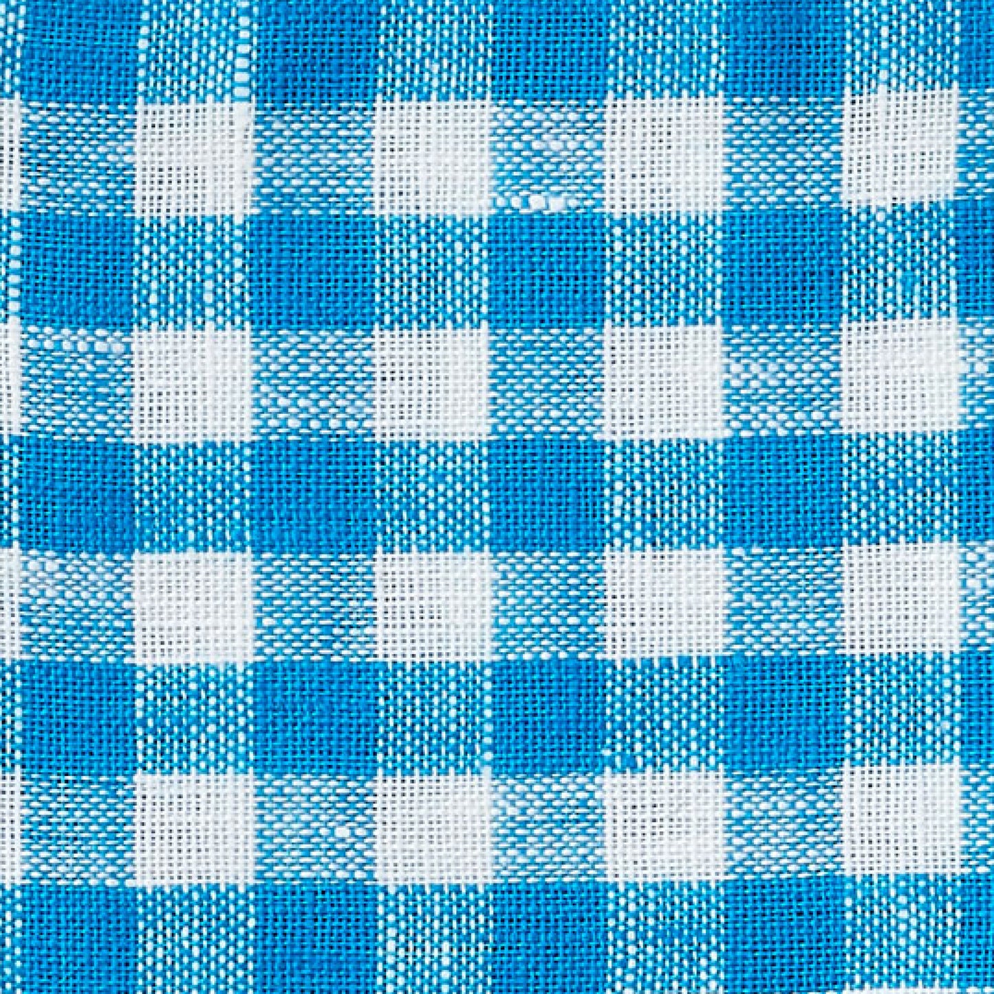 Linen Coaster | Leo
