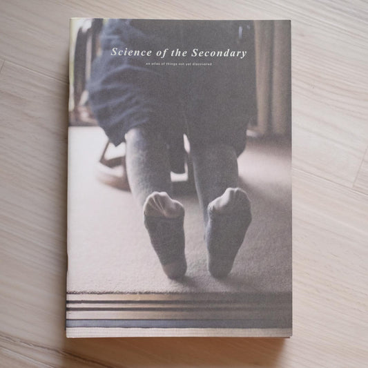 Socks |  Science Of The Secondary