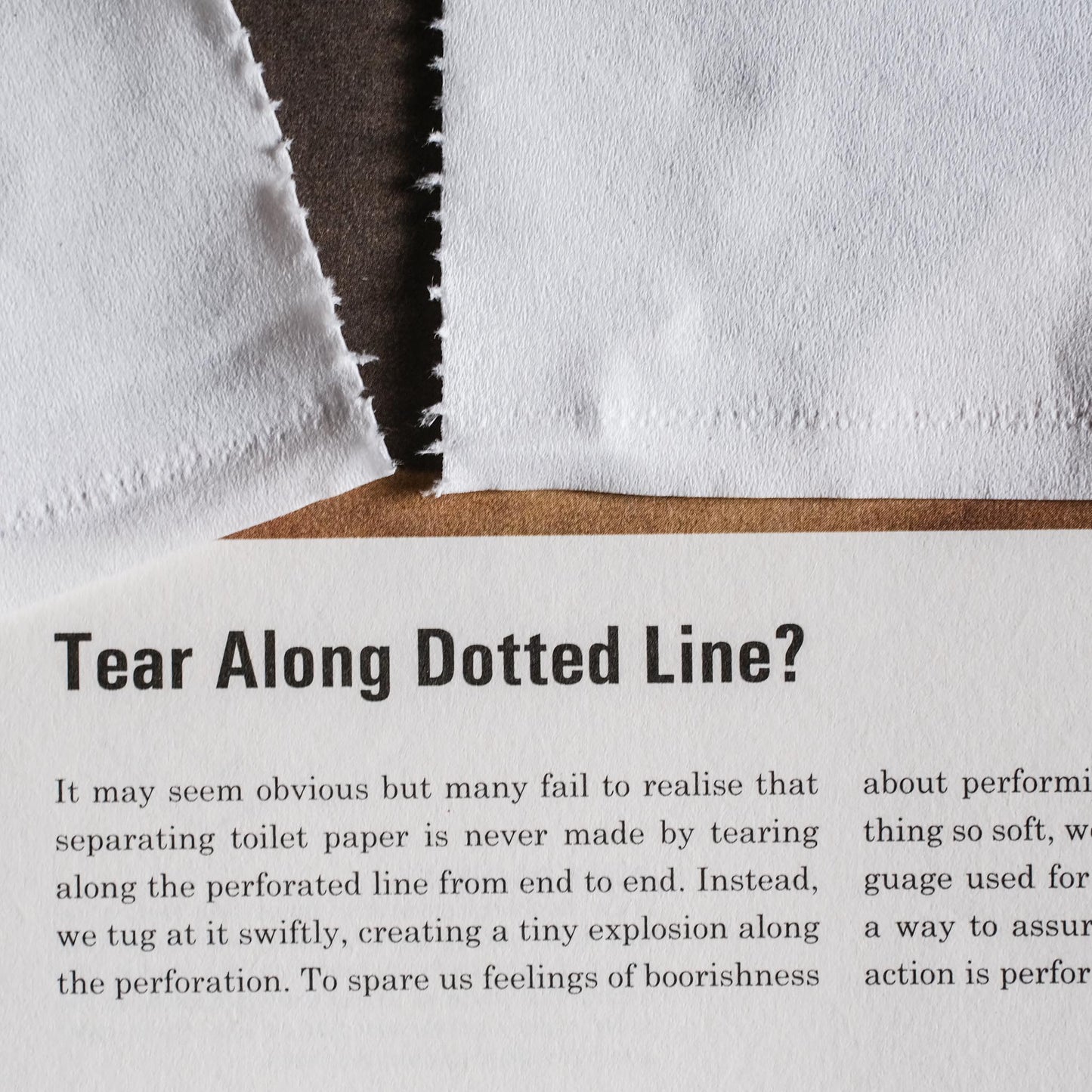 Toilet Paper | Science of the Secondary