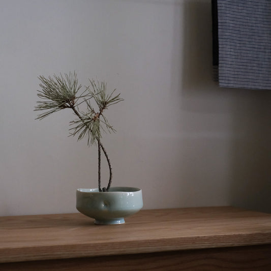 Turquoise Porcelain Bowl - Co-E173