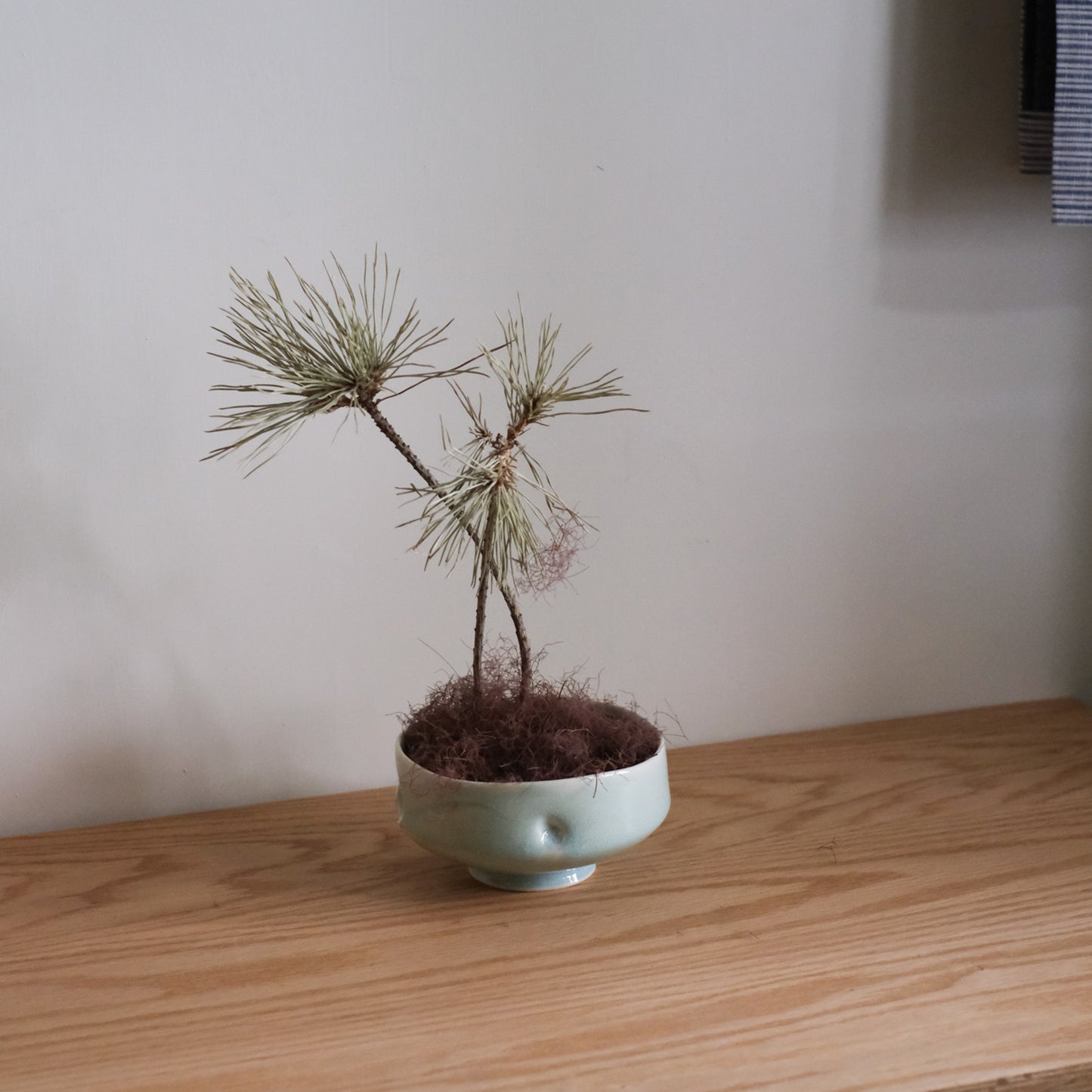 Turquoise Porcelain Bowl - Co-E177
