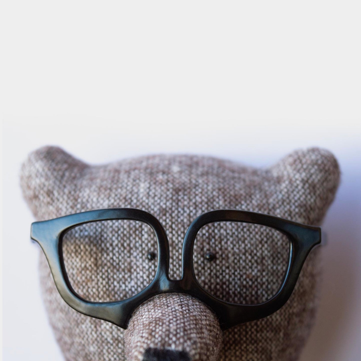 Glasses For Large Animals - Philomena Kloss