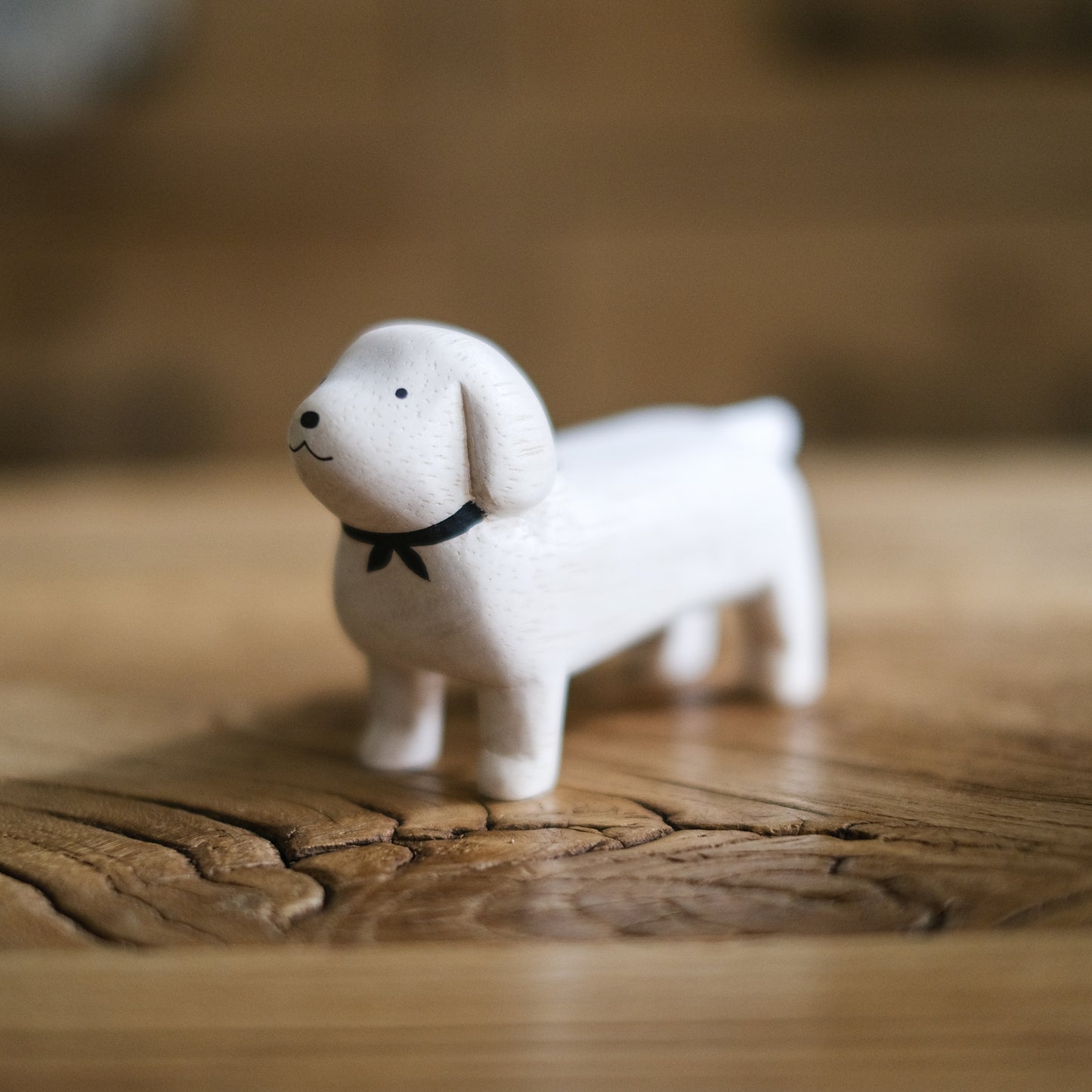 Dachshund White