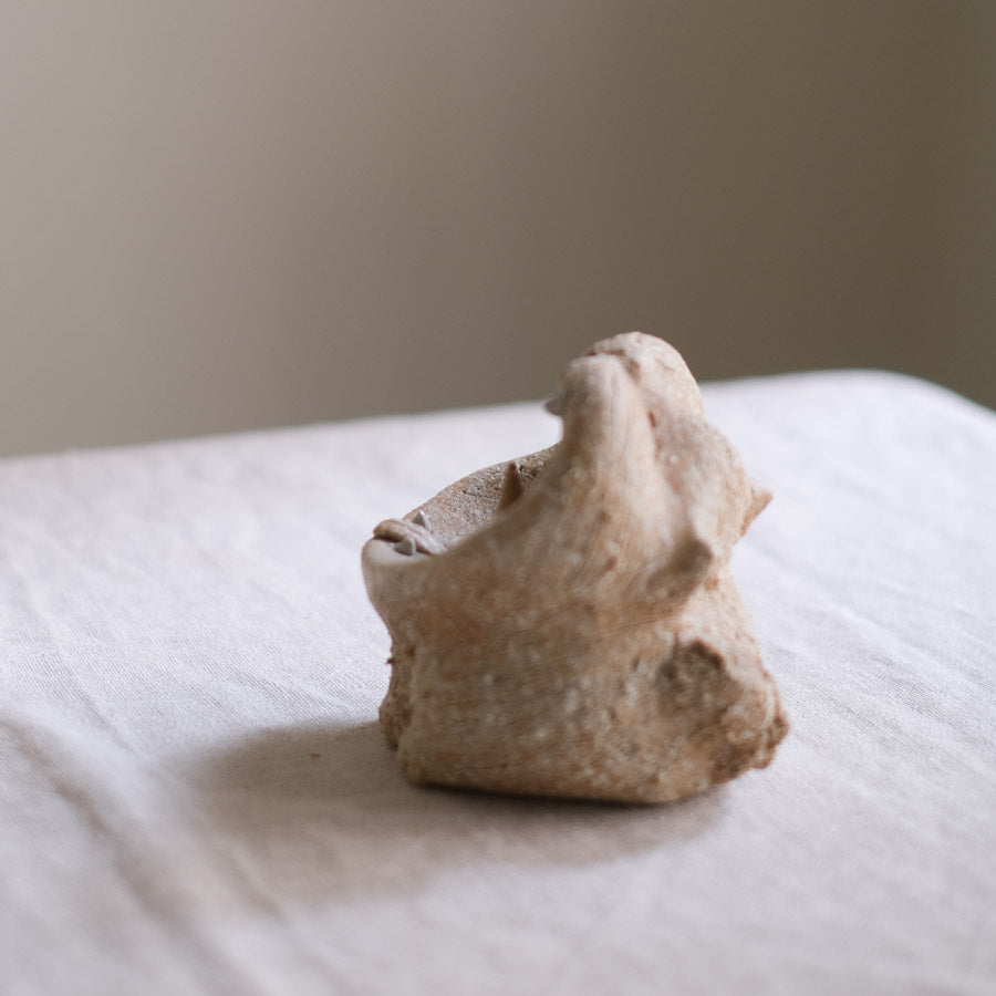 Shigaraki Ware - Yawn Cat Incense Stand