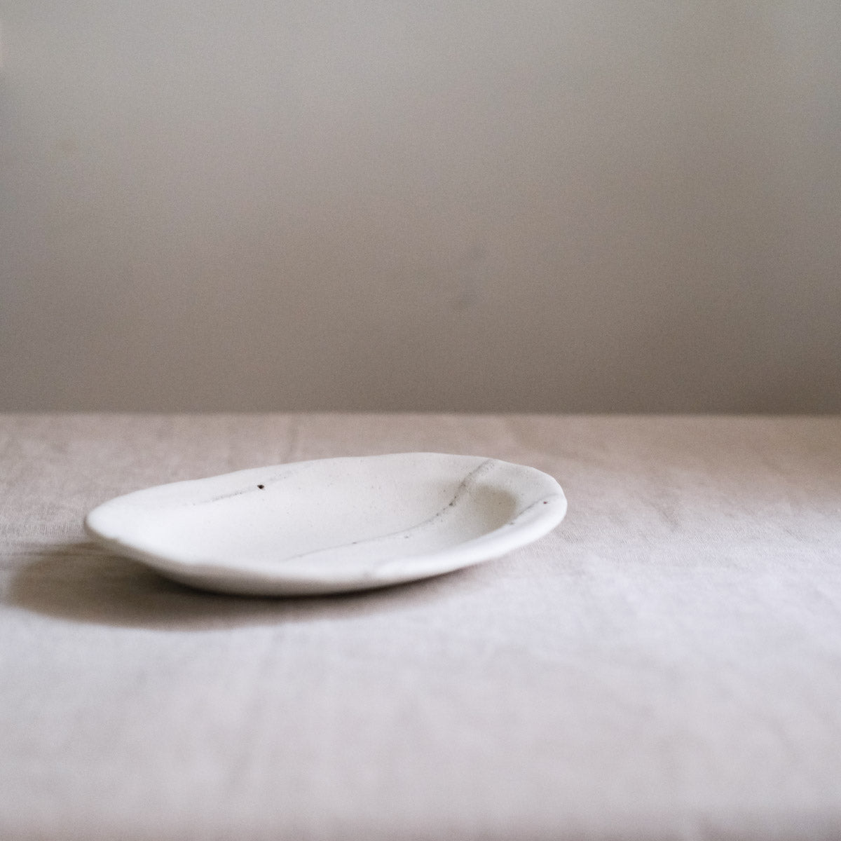 Shigaraki Ware - Oval Plate - Snow - Medium