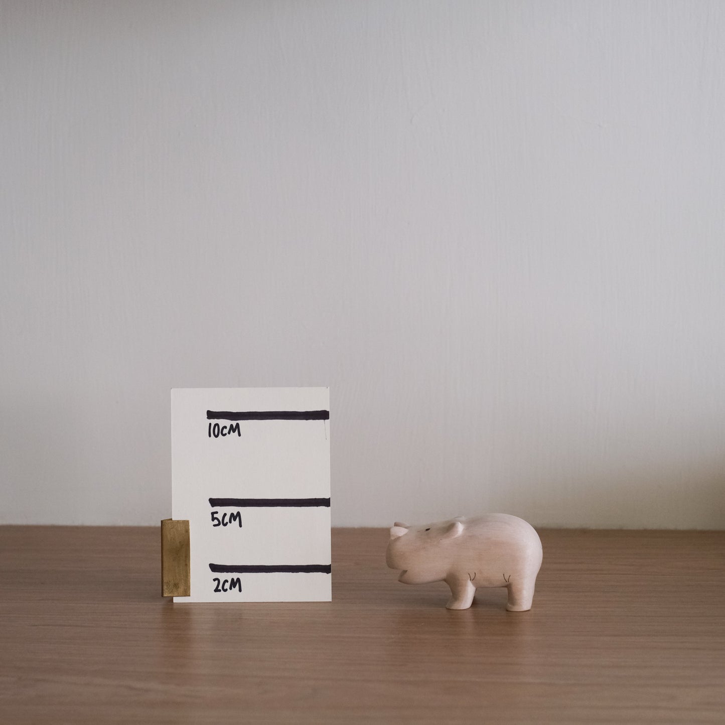 Hippopotamus