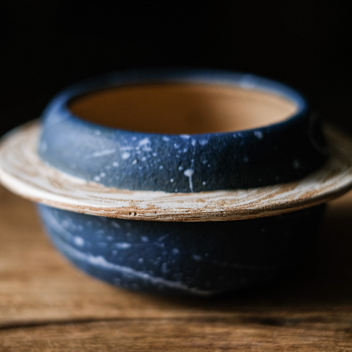 Winter Flower Pot - Galaxy