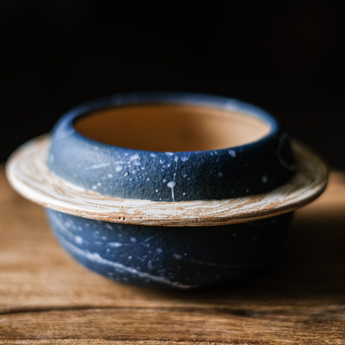 Winter Flower Pot - Galaxy