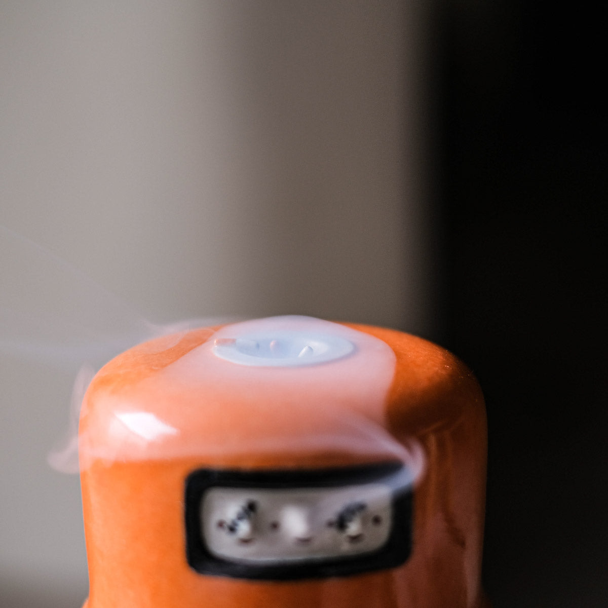 Winter Incense Cone - Rubbish Bin