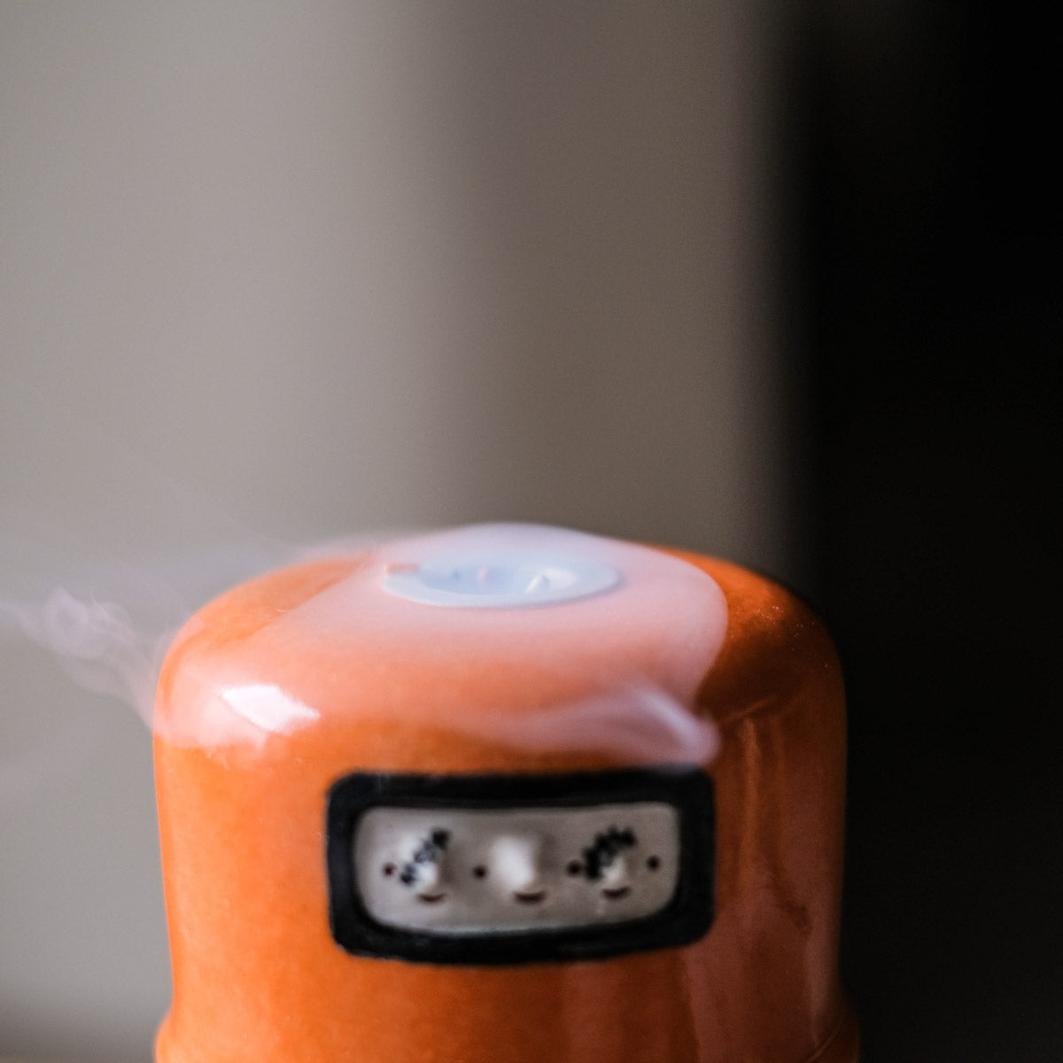 Winter Incense Cone - Rubbish Bin