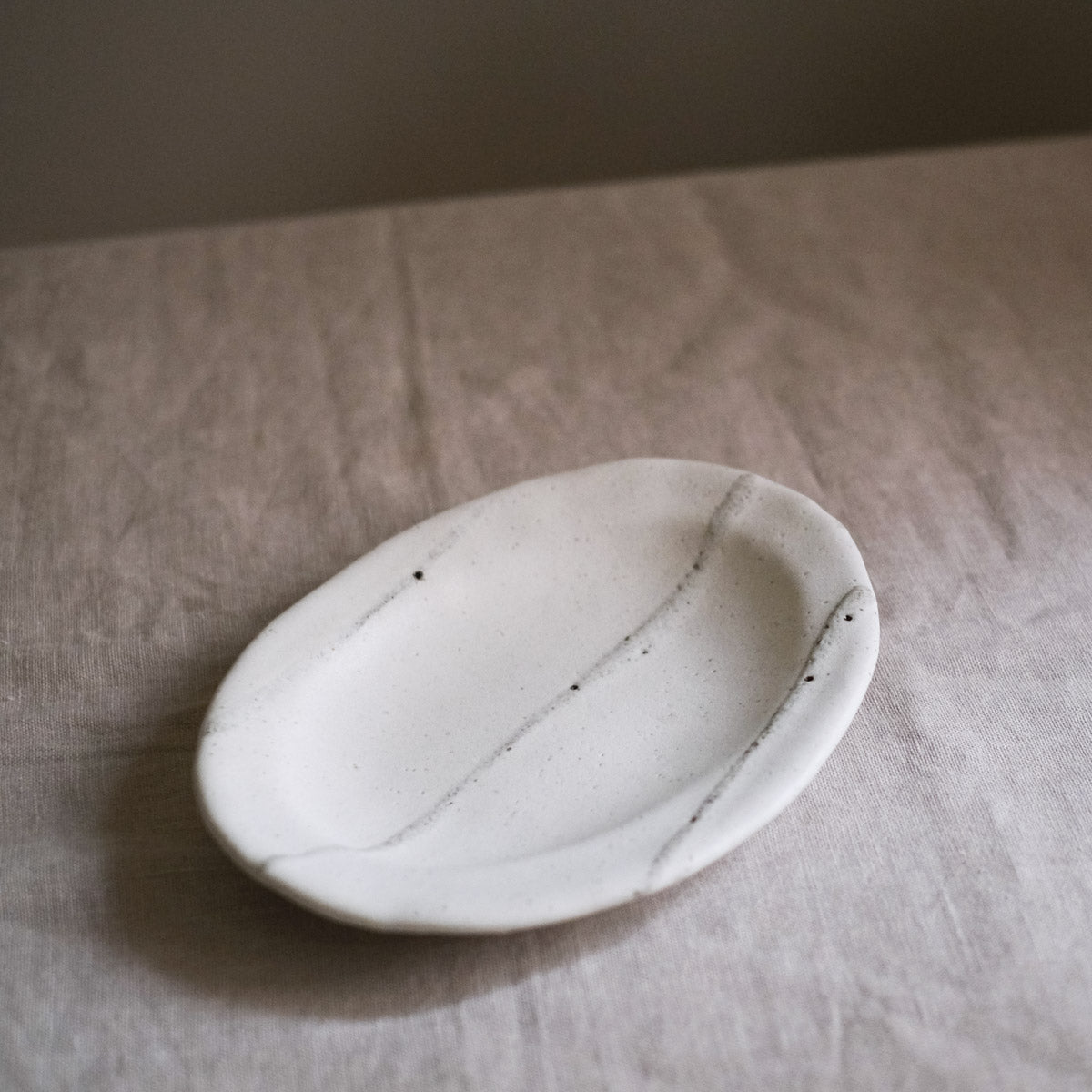 Shigaraki Ware - Oval Plate - Snow - Medium