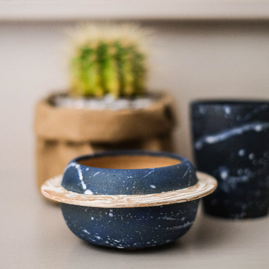 Winter Flower Pot - Galaxy